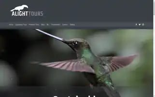 Alighttours.com Screenshot 2024-04-26 19:45:04