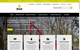 Dfae.fr Screenshot 2024-07-09 00:22:13