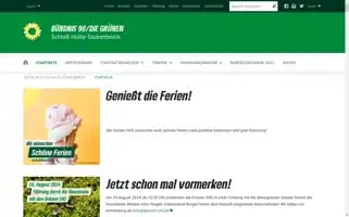 Gruene-shs.de Screenshot 2024-07-04 16:39:03