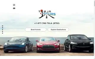 Alsettours.com Screenshot 2024-04-17 02:52:44