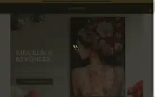 Kunstdoekje.nl Screenshot 2024-05-21 05:14:42