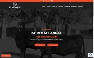 Elyunque.com.uy Screenshot 2024-07-08 10:59:55