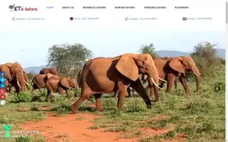 Ktsafaris.online Screenshot 2024-05-20 23:30:09