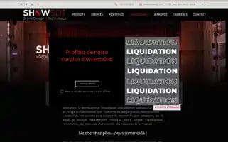 Showsdt.com Screenshot 2024-06-12 10:42:36