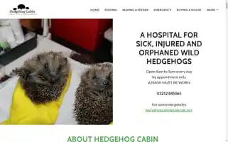 Hedgehogcabin.info Screenshot 2024-06-15 13:51:55