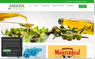 Asoliva.com Screenshot 2024-06-30 23:17:45