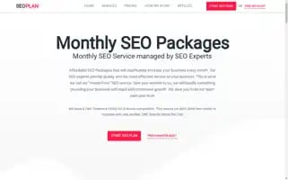 Seo-plan.com Screenshot 2024-06-13 21:29:57