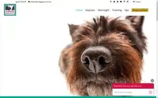 Sniffersdoggieretreat.com Screenshot 2024-05-16 17:58:43