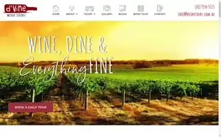 Dvinetours.com.au Screenshot 2024-04-15 03:38:22