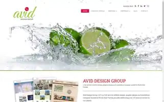 Aviddesigngroup.com Screenshot 2024-06-12 23:42:23