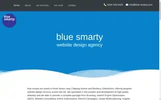 Blue-smarty.com Screenshot 2024-06-30 22:06:41