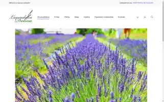 Lavendowadolina.pl Screenshot 2024-05-21 05:18:41