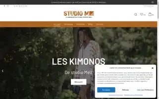 Studio-melt.fr Screenshot 2024-05-21 05:00:51