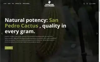 Voteforsanpedro.com Screenshot 2024-05-25 08:42:00
