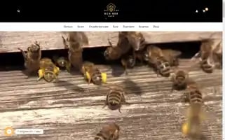 Ecobeefarm.net Screenshot 2024-05-19 18:27:55