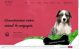 Bulles-de-noe.fr Screenshot 2024-05-20 13:53:51
