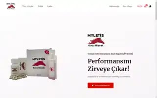 Myletis.com Screenshot 2024-05-27 00:52:26