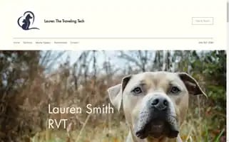 Laurenthetravelingtech.com Screenshot 2024-04-17 05:06:32