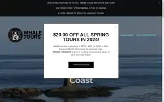 Bcwhalewatchingtours.com Screenshot 2024-04-26 21:41:33