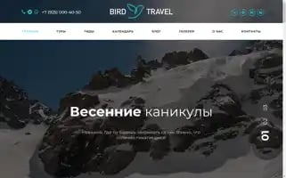 Birdtravel.ru Screenshot 2024-04-22 20:34:37