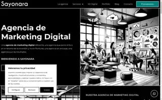 Sayonara.es Screenshot 2024-06-14 19:43:02
