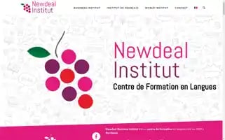 Newdealinstitut.com Screenshot 2024-07-04 00:52:24