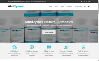 Mindzymes.com Screenshot 2024-06-12 04:39:36