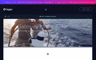 Tegan.io Screenshot 2024-06-30 14:57:50