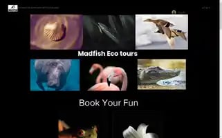 Madfishecotours.com Screenshot 2024-04-23 01:27:03