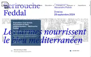 Limagier.qc.ca Screenshot 2024-06-26 13:55:16