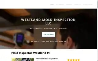 Westlandmoldinspection.com Screenshot 2024-07-06 10:52:03