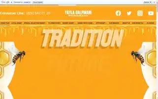 Yaylabalpinari.com.tr Screenshot 2024-05-27 20:31:17