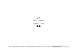 Salouahmaidi.com Screenshot 2024-05-19 00:58:43