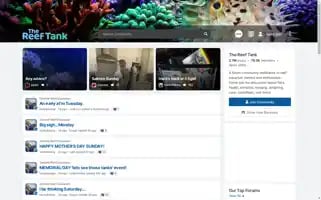 Thereeftank.com Screenshot 2024-05-14 10:38:15