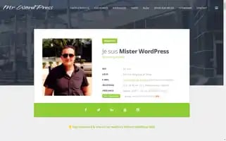 Mister-wp.com Screenshot 2024-07-03 14:10:07