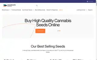 Weedseedsexpress.com Screenshot 2024-05-15 01:07:37