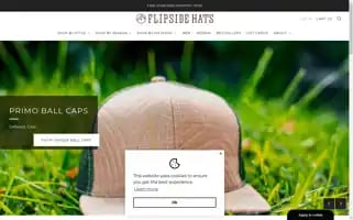 Flipsidehats.com Screenshot 2024-05-04 21:41:10