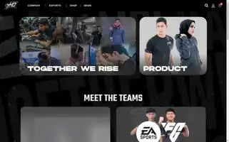 Teamhaq.com Screenshot 2024-05-19 16:50:07
