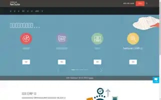 Netsuite.cn Screenshot 2024-07-05 12:06:09