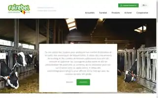 Fairebel.be Screenshot 2024-07-01 13:43:32