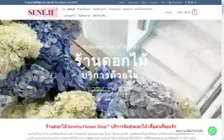 Senehashop.com Screenshot 2024-06-29 07:40:07