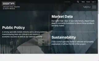 Ssina.com Screenshot 2024-07-07 04:32:49