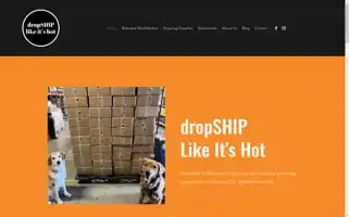 Dropshiplikeitshot.com Screenshot 2024-06-30 16:02:42