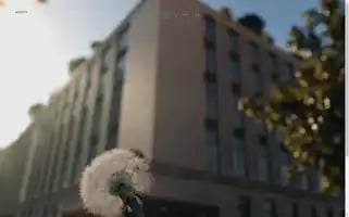 Binyanstudios.com Screenshot 2024-07-01 14:53:50