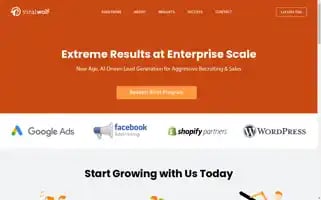 Viralwolf.com Screenshot 2024-07-02 04:21:25