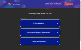 Report-examples.com Screenshot 2024-05-20 04:09:48