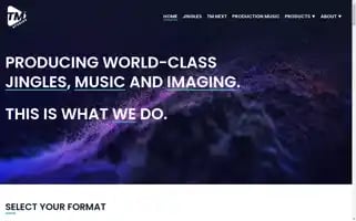 Tmstudios.com Screenshot 2024-07-01 22:28:27