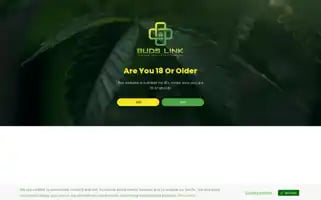 Budslink.com Screenshot 2024-05-19 12:31:10