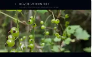 Bugthewriter.com Screenshot 2024-06-30 14:03:03