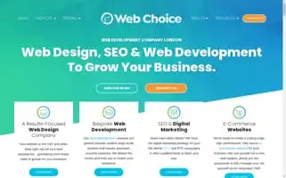 Webdesignchoice.co.uk Screenshot 2024-07-03 02:43:59